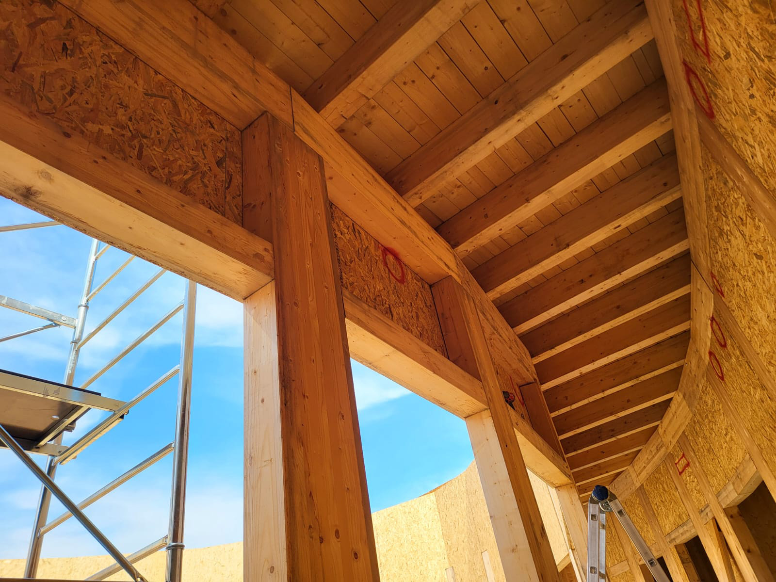 Strutture e Lavorazioni in Legno